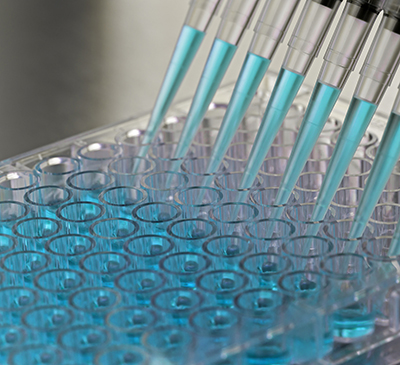 Global Cell Proliferation Kits Market 2018-2022